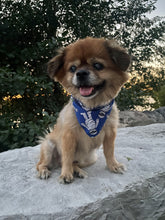 Load image into Gallery viewer, Halloween Scrunchie Dog Bandanas