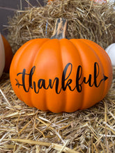 Load image into Gallery viewer, Personalized Faux Pumpkins