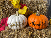 Load image into Gallery viewer, Personalized Faux Pumpkins