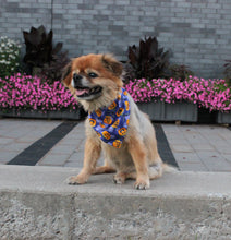 Load image into Gallery viewer, Halloween Scrunchie Dog Bandanas