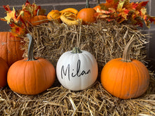 Load image into Gallery viewer, Personalized Faux Pumpkins